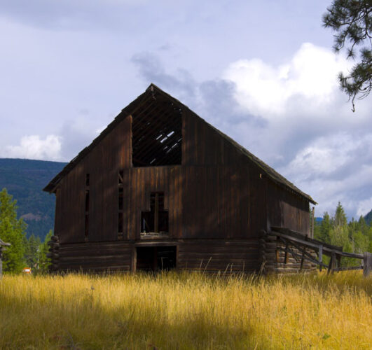 Finding Your Dream Farm: Ideas From Our Facebook Friends